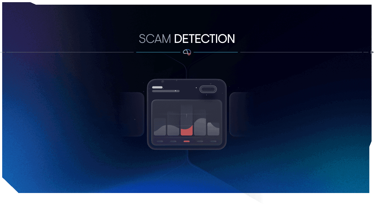 Scam Detection